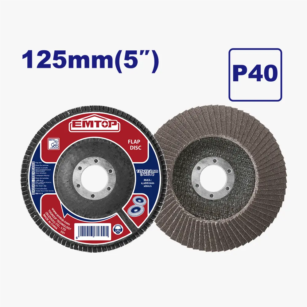 Disque a lamelle 125MM P40 EMTOP EFDS1251