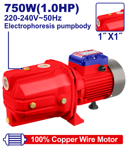 Pompe à jet 1CV auto-amorçante EMTOP EWPPJ07501