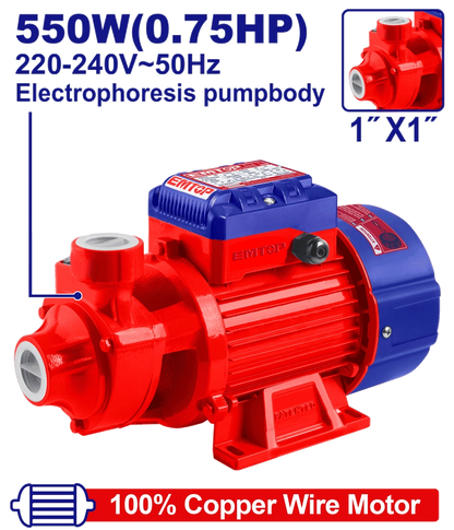 Électropompe 0.75CV 1″H45M 45L/MN EMTOP EWPPV05501